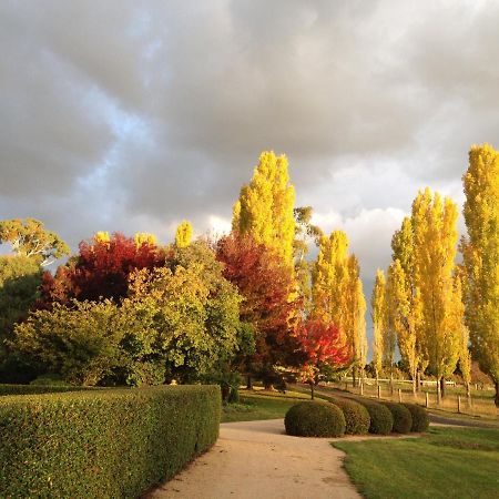 Glen Waverly Farmstay Glen Innes Eksteriør bilde