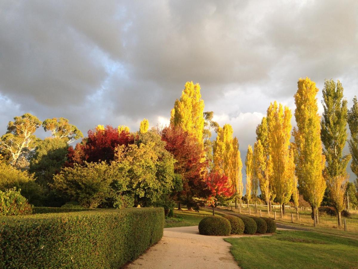 Glen Waverly Farmstay Glen Innes Eksteriør bilde