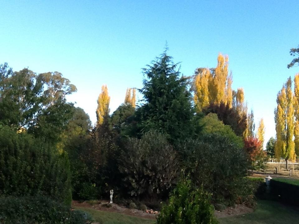Glen Waverly Farmstay Glen Innes Rom bilde