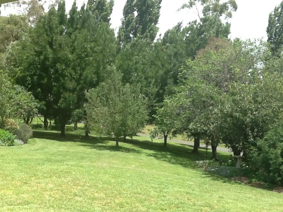 Glen Waverly Farmstay Glen Innes Rom bilde