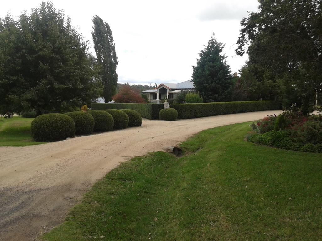 Glen Waverly Farmstay Glen Innes Eksteriør bilde