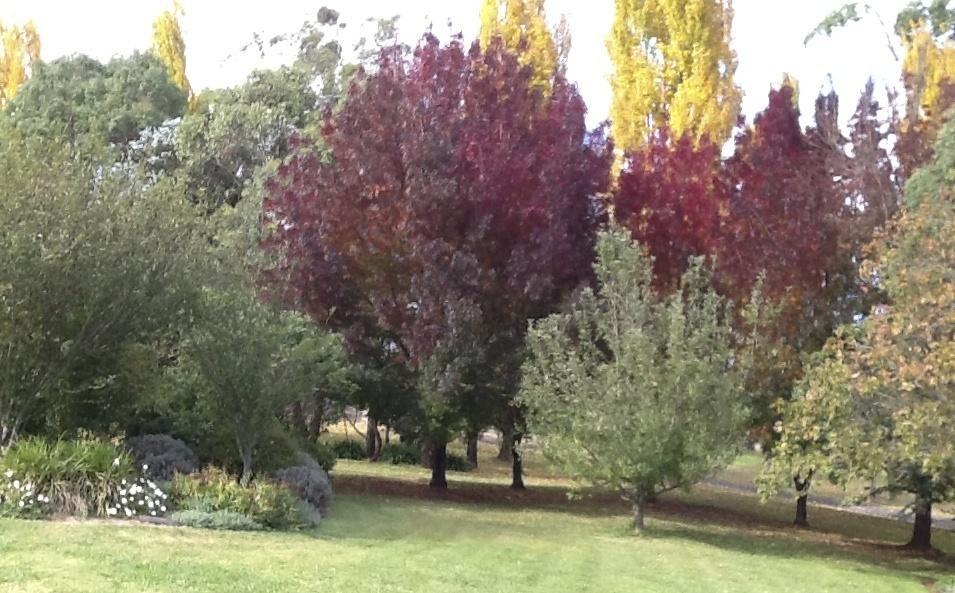 Glen Waverly Farmstay Glen Innes Rom bilde