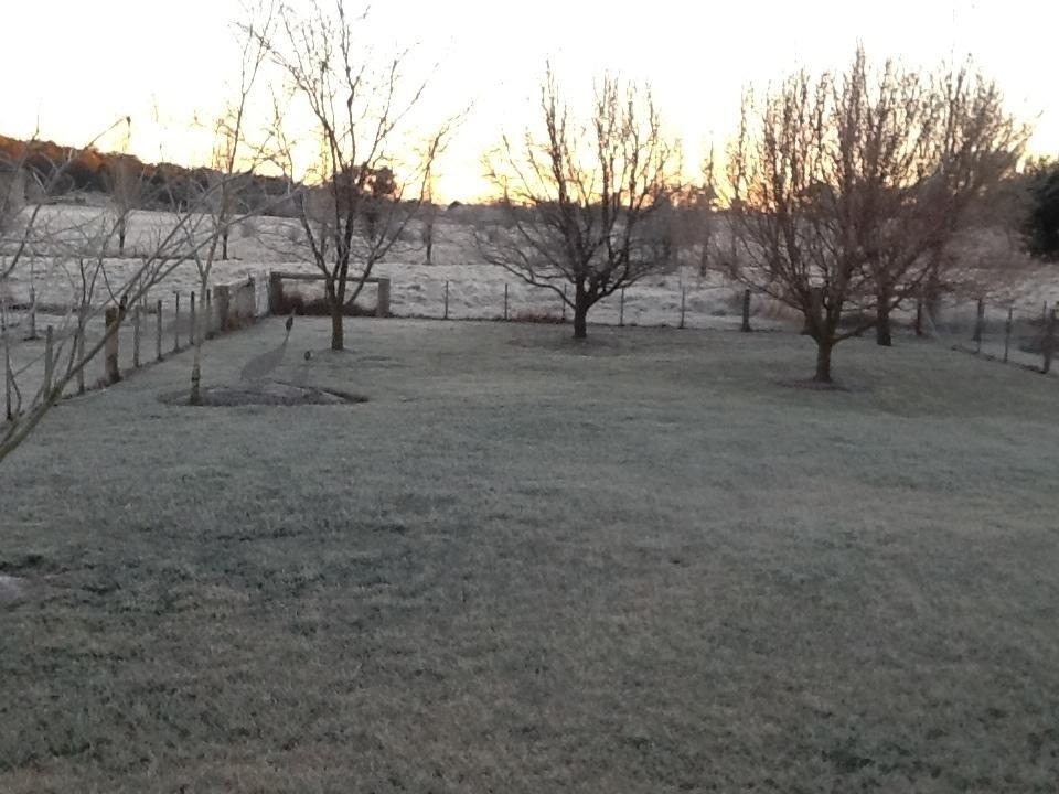 Glen Waverly Farmstay Glen Innes Eksteriør bilde
