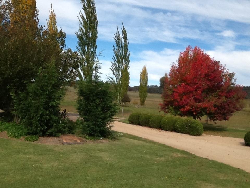 Glen Waverly Farmstay Glen Innes Rom bilde