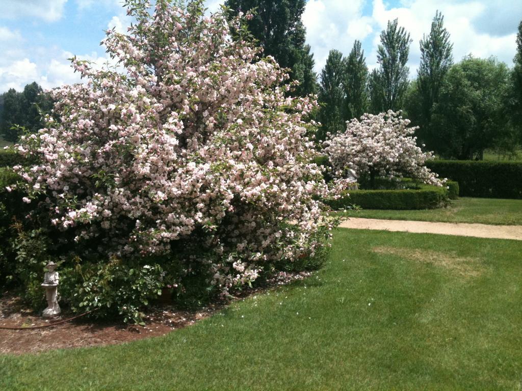Glen Waverly Farmstay Glen Innes Eksteriør bilde
